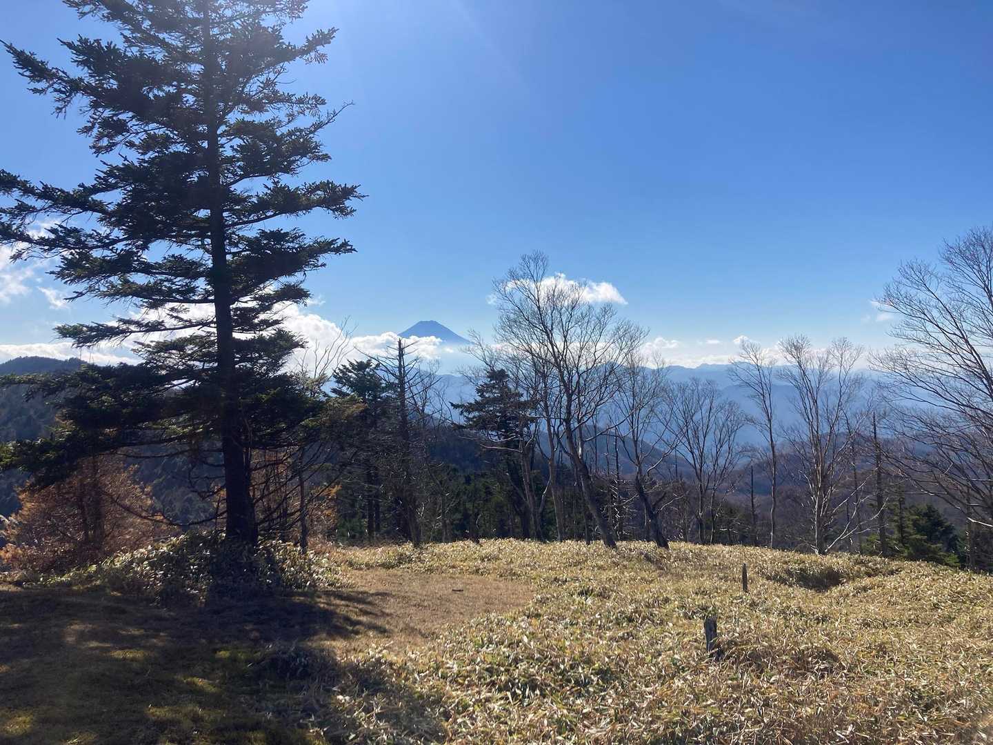 小金沢山の方が眺望は開けていたかな。