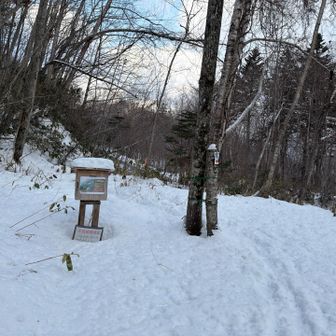 雪はシャーベット