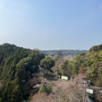 境内からも良い景色が✨