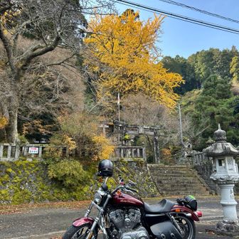 　　高木神社　(上津野地区)