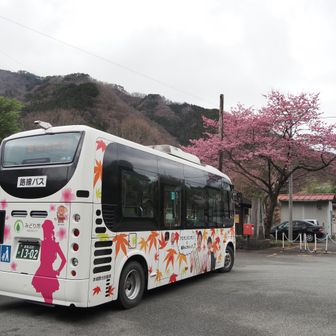 市営の巡回バスも到着