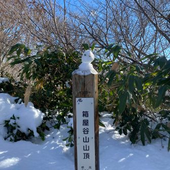 出来た😛目がちょっと怖いけどok👌