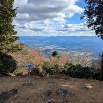 山頂からの景色
