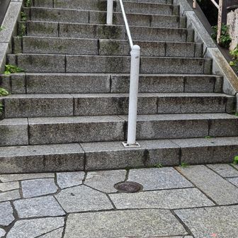 ラスト石段が近い☝️これはコレで艶かしいね