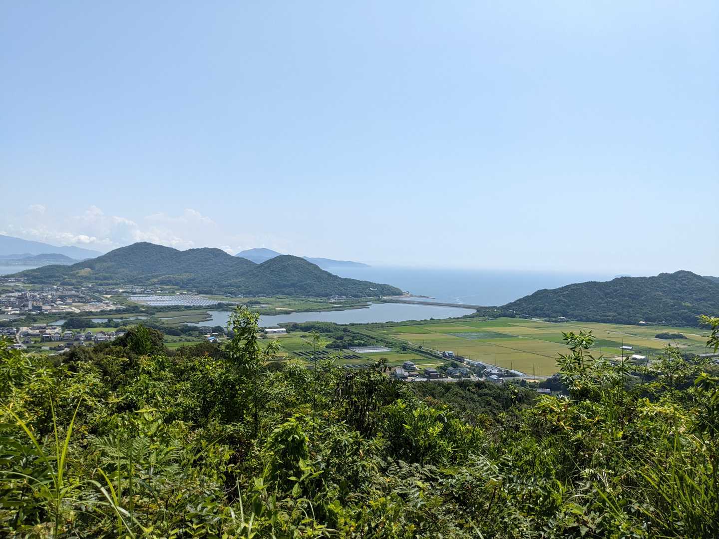 善城寺山 往復コースの写真