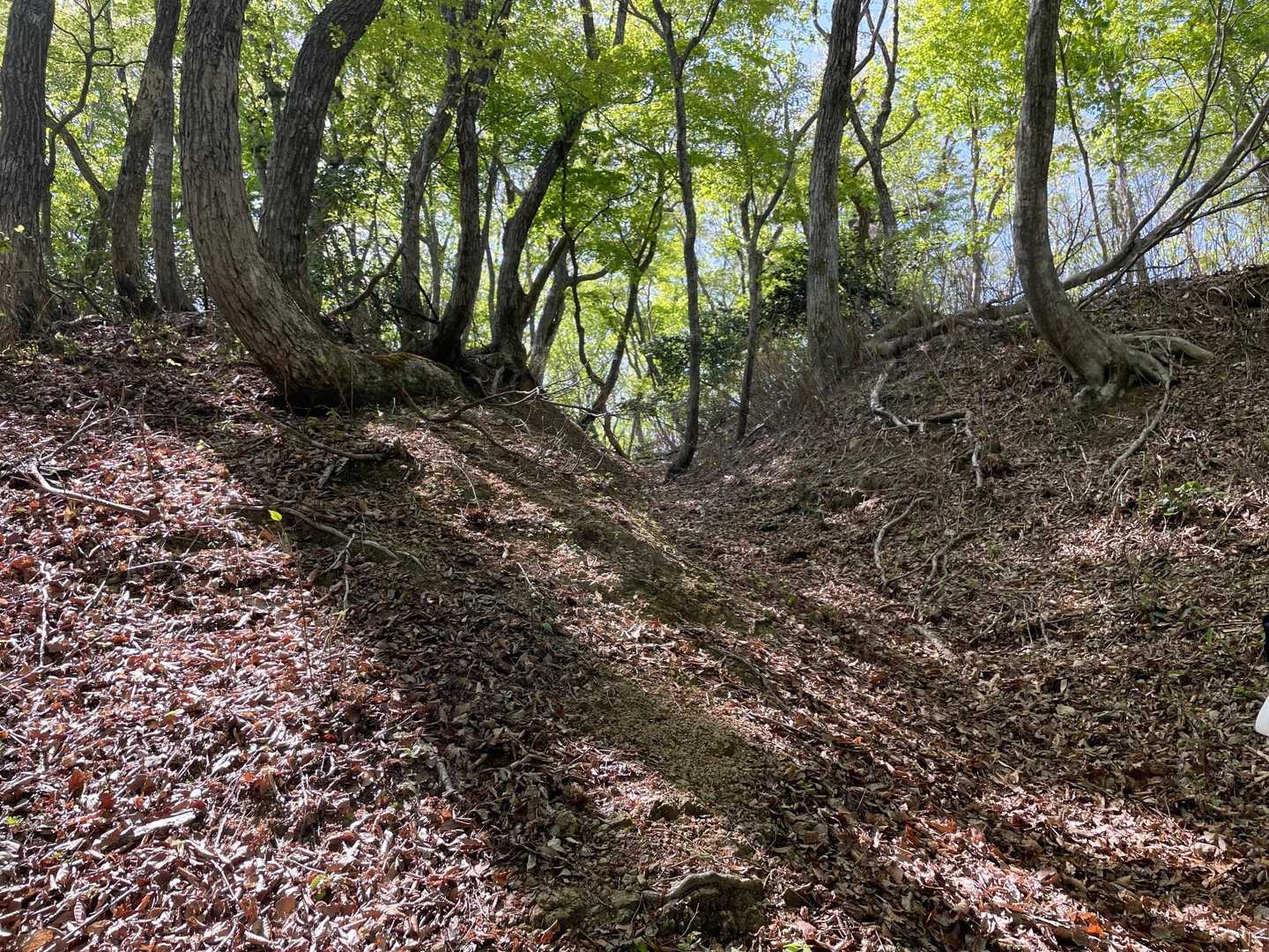 中谷山-別所山-行市山 往復コースの写真