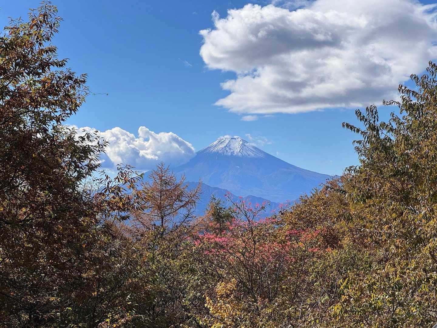 扇山-大久保山-長尾峰-コタラ山-百蔵山-猿橋駅 縦走コースの写真