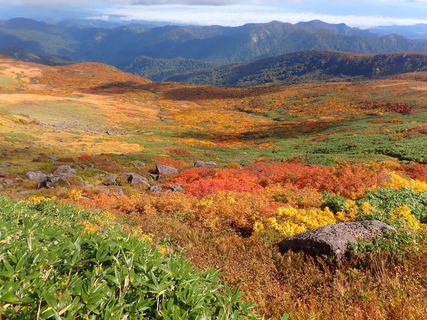 月山八合目往復 | 夏は残雪と花の楽園、秋は黄金に染まる草紅葉、四季折々の魅力の写真
