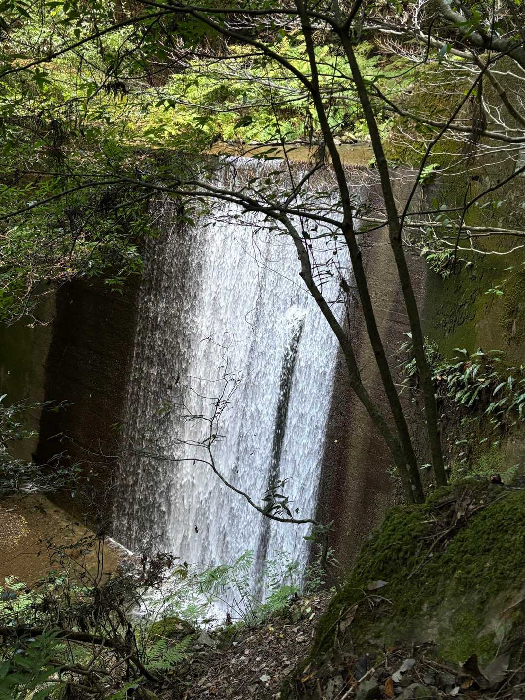 古処山-屏山 往復コースの写真