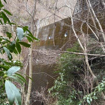 六甲山・長峰山・摩耶山 そのまま荒神山第四堰堤まで高巻きします