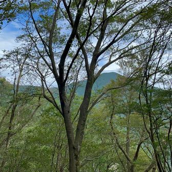 武甲山の南面