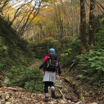 真江（さなえ）