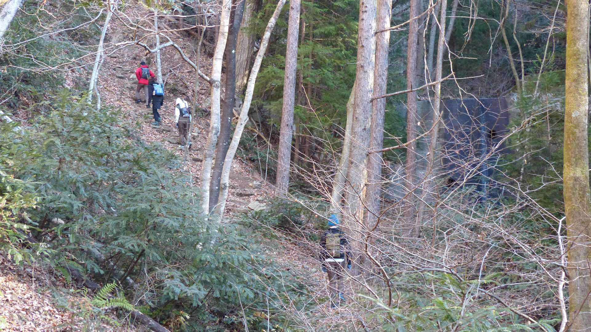 歩きごたえのある遊歩道ですねぇ😆