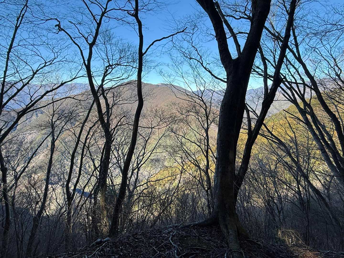 冬限定の展望地です⛰️
正面に見えるのは「篠井山」になります。