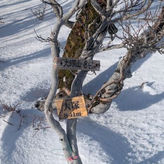 グレーピーク🤫