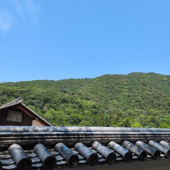 結構歩いた感じがするけど、距離的にはそうでもないな