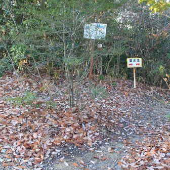 最初は西高森山へ