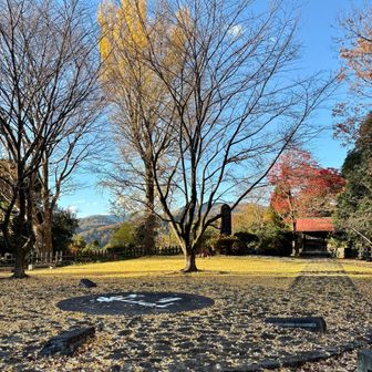 【河村城跡🏯】
何だかゾクゾク感じる気がします🤫
城址には悲劇が憑き物です