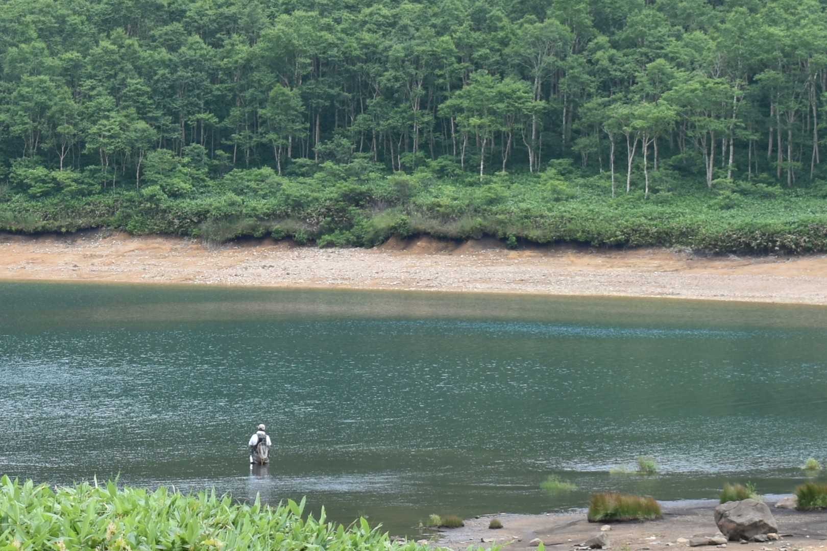 弁天山-高沢山-三壁山-野反湖ビジターセンター 周回コースの写真