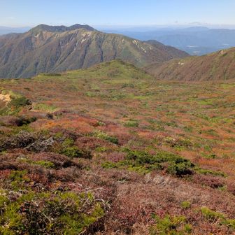 1900m峰より望む紅葉🍁