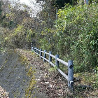 猿橋からの登山口に無事到着🏁
ちょうど3時間半の山行でした🚶‍♂️🚶‍♂️