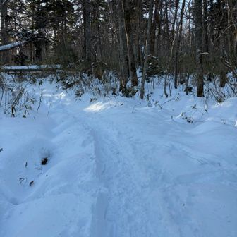 相変わらずの一級トレース、スノーシューは不要、最初からアイゼンで。背中にはお守りのピッケル⛏️