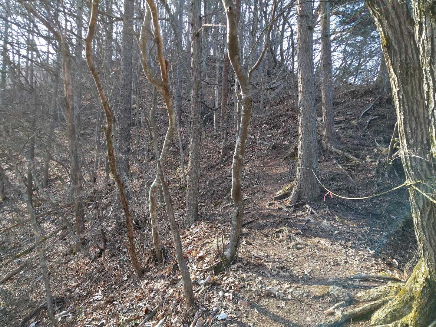 奇妙山への最後の登り😤