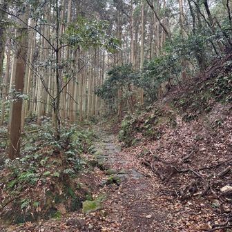 今日は絶対滑るやーつ