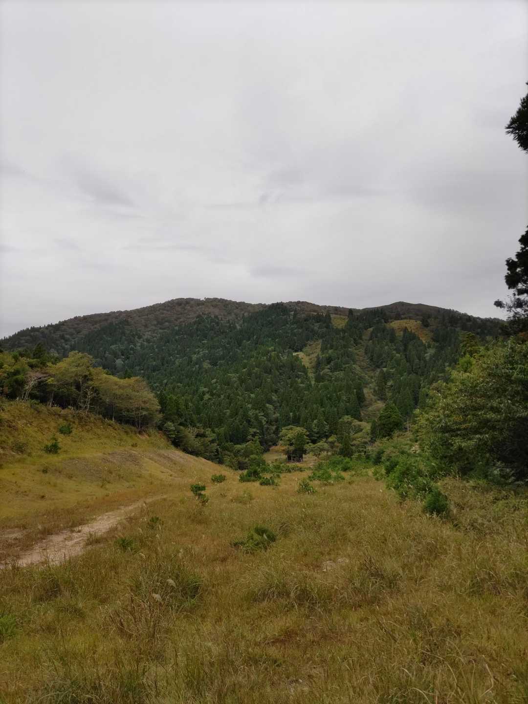 武奈ヶ岳-細川越 周回コースの写真