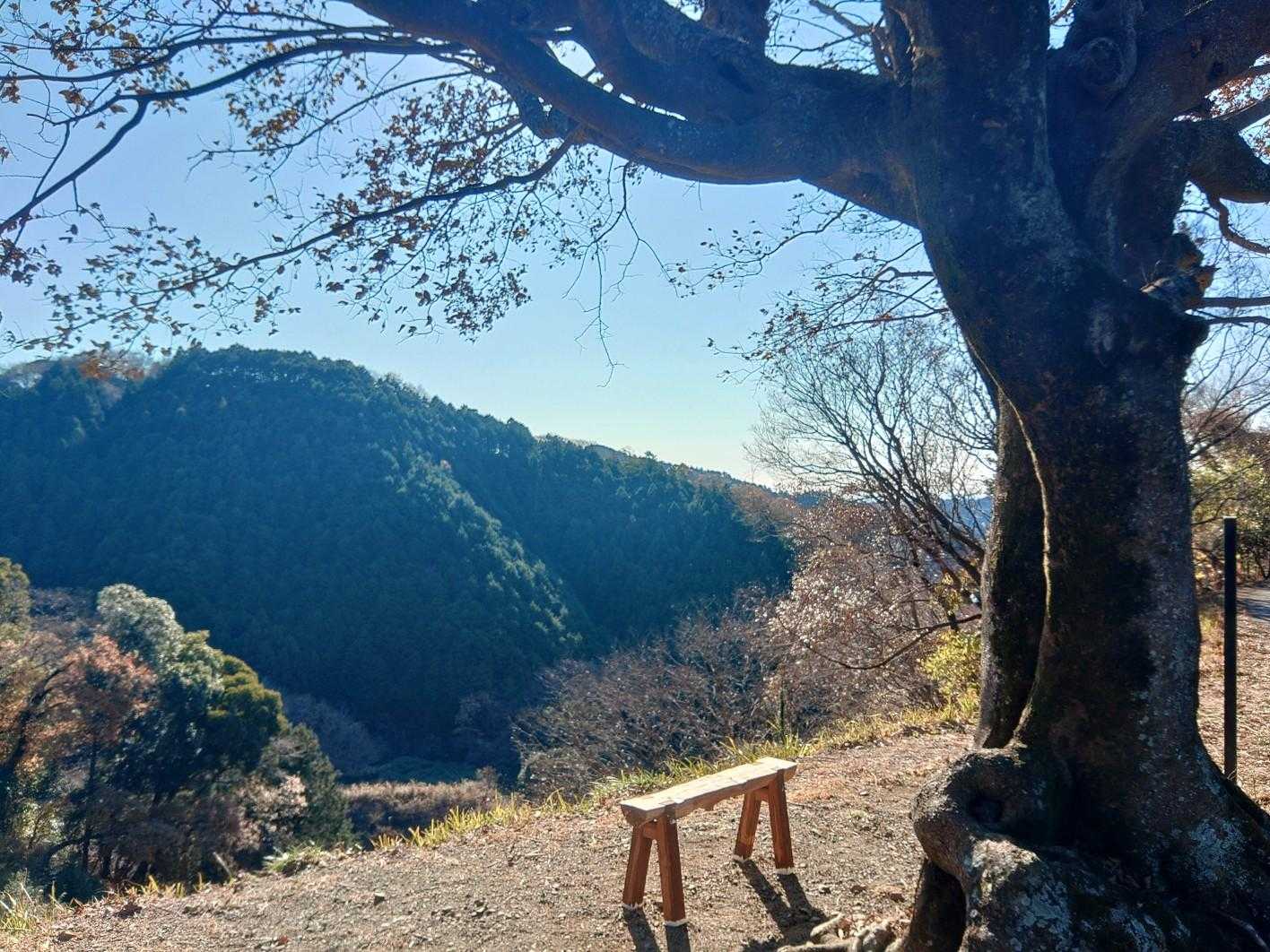 粟ヶ岳 周回コースの写真