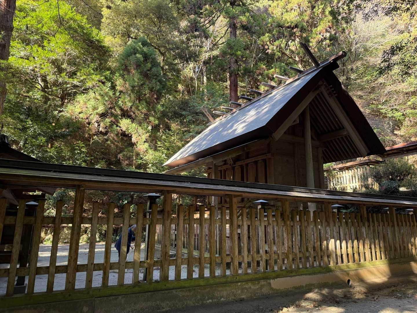 皇大神宮下バス停-伊野大神宮-遠見岳-さくら山登り口-さく 周回コースの写真