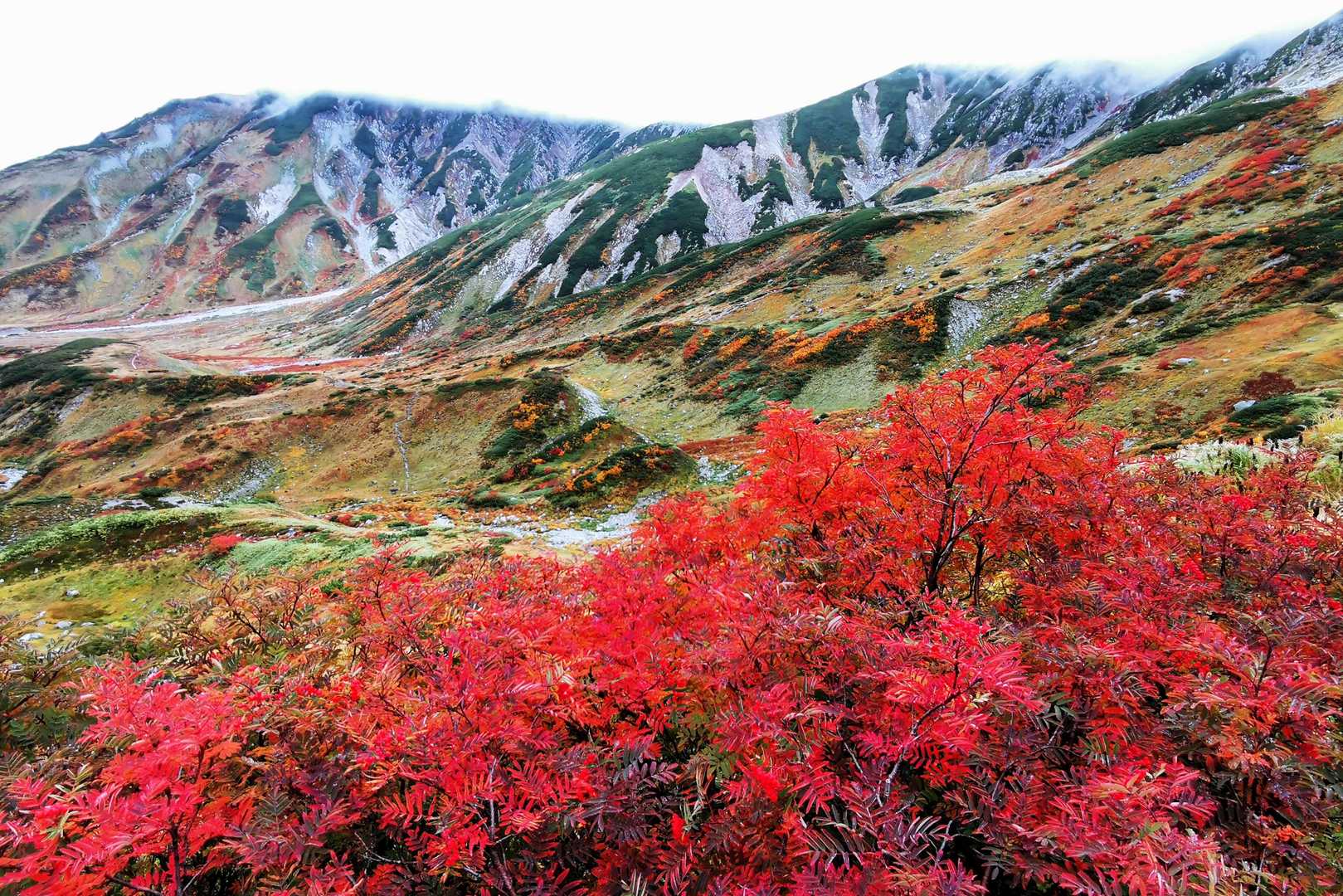 室堂登山口-浄土山-獅子岳-ザラ峠-五色ヶ原-一ノ越 周回コースの写真