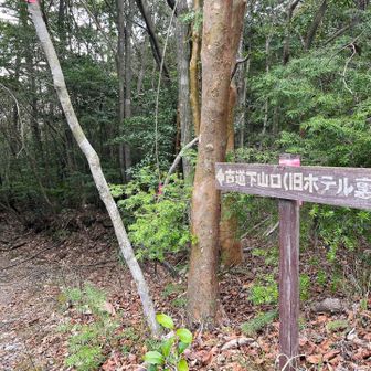 そして…また古道🌳の入口の方へ
🪧案内もちゃんとあるよ😉