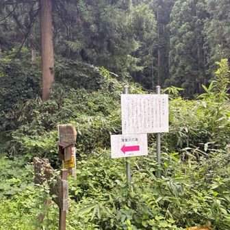 塩のなんとかコース
妙見山へ直で行けます！