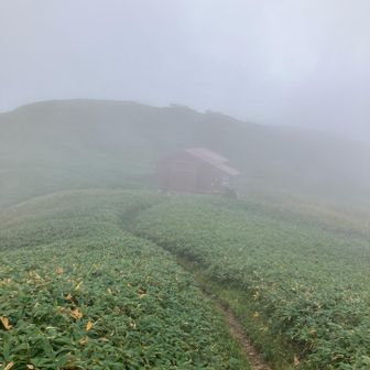 絶妙な位置にある三ノ峰避難小屋

ずぶ濡れのソックスを絞りインナーも交換してリフレッシュ