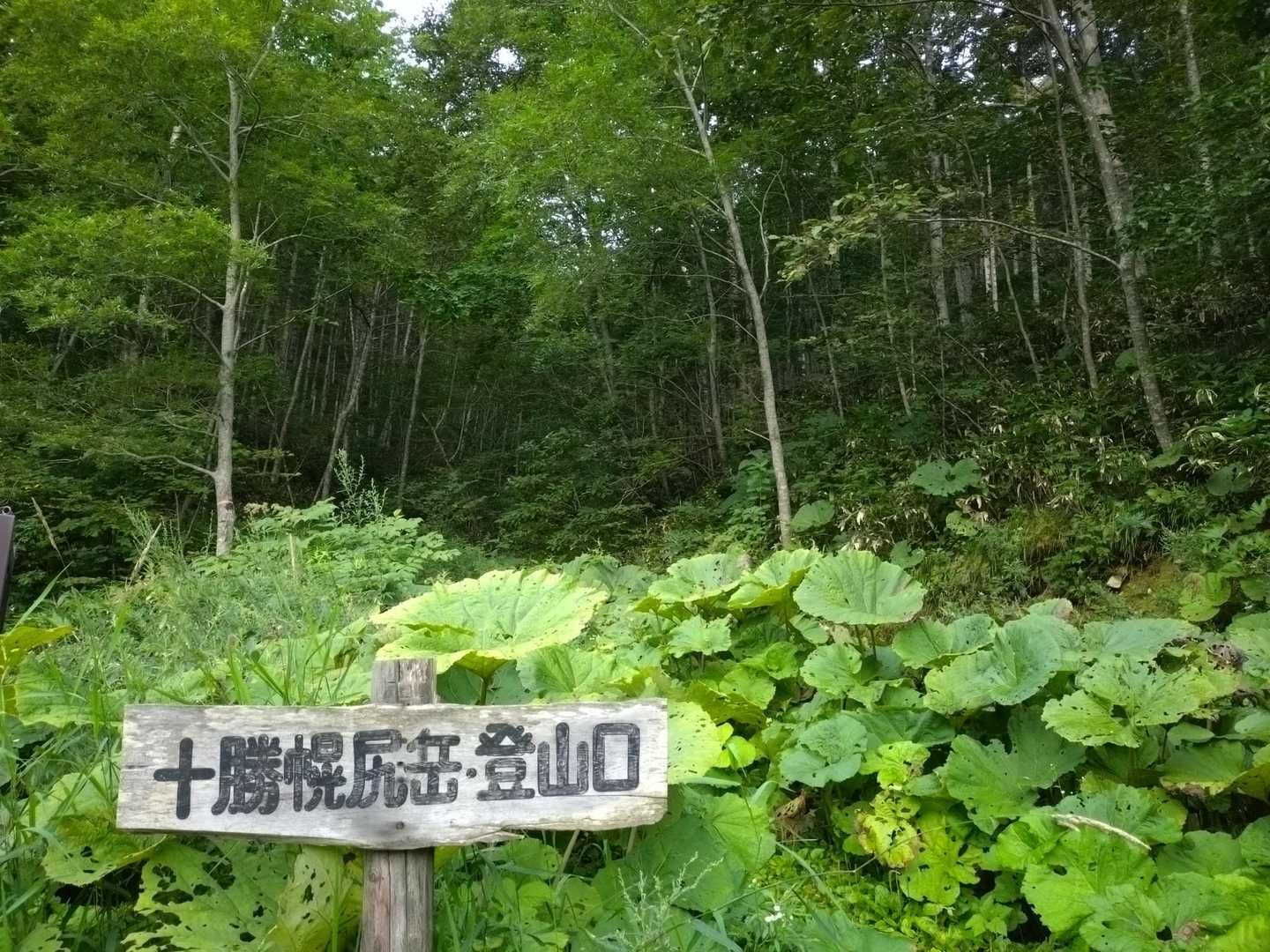 明るくなってからのスタートです‪💡‬