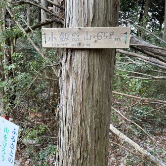 小飯盛山
ここまでワイルドな道ですが、テープ多めなんとか到着