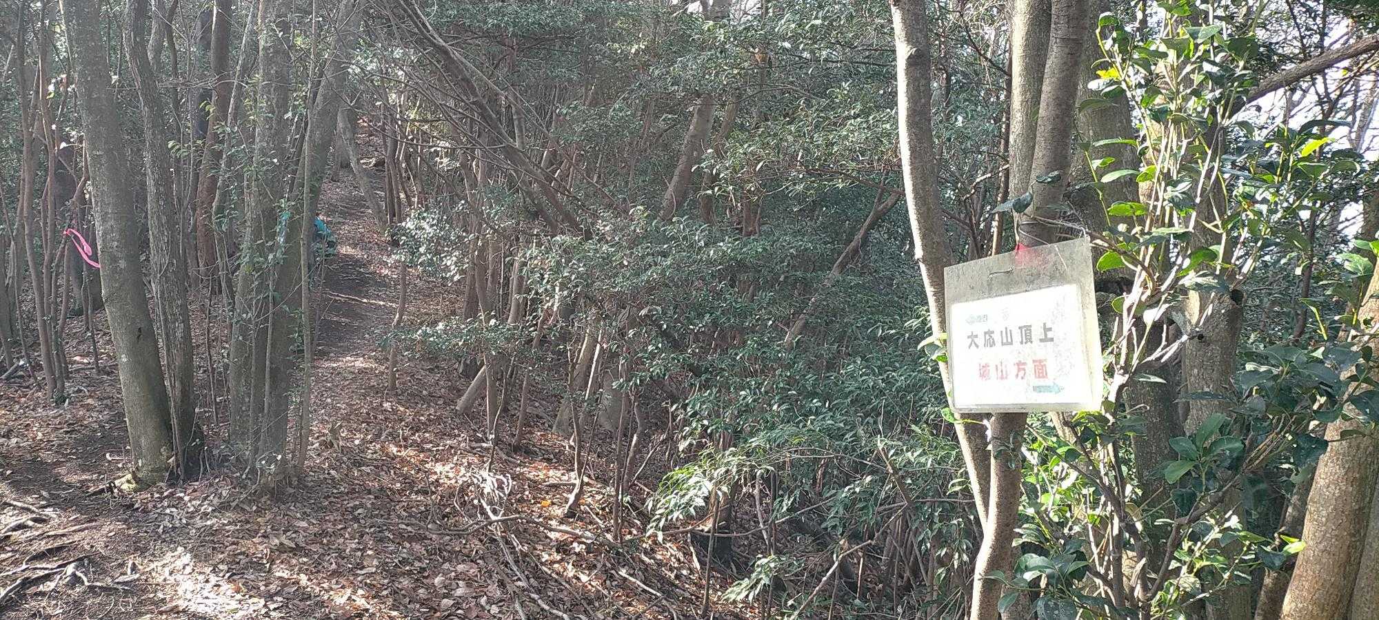 山頂目指します！
城山方面　分岐
このまえの登山を思い出しました。（城山まではとお〜い😅）
ここも　遠そう😭　