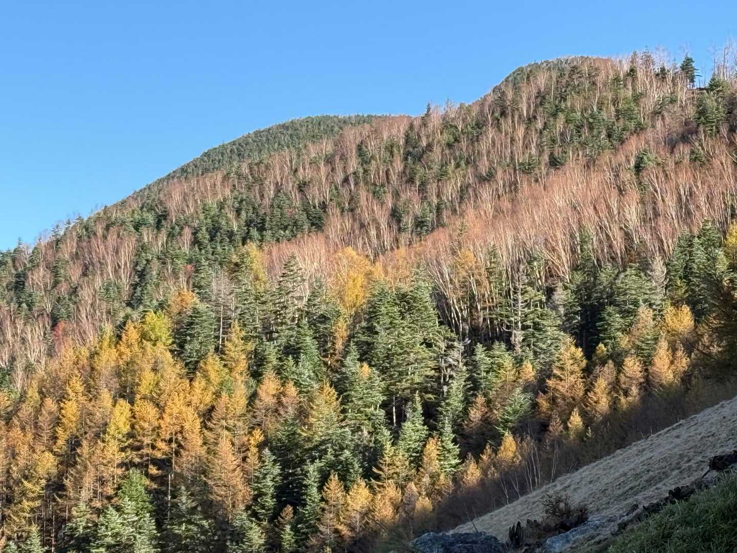 紅葉🍁終わりがけ〜
晩秋ってやつ
