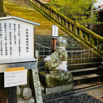 止め事成就の狛犬