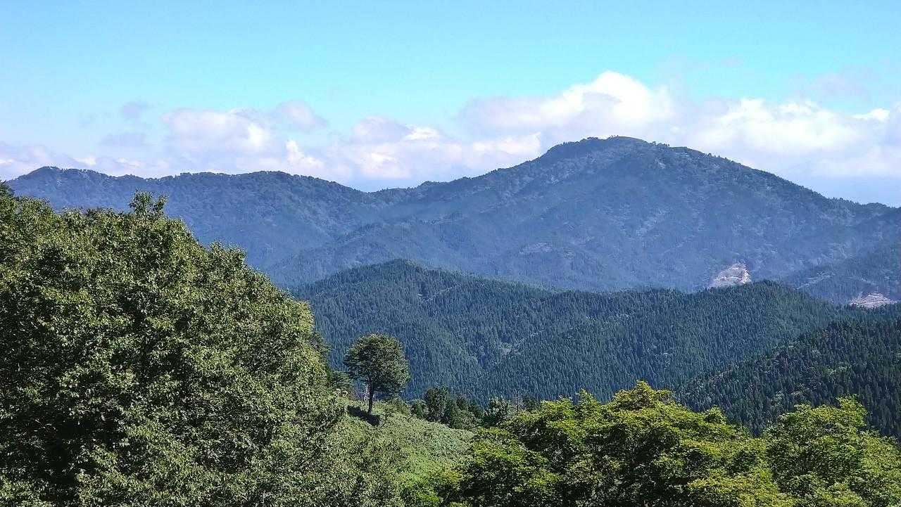 沖ノ山山頂から２～３０ｍ藪を下って東山～鳴滝山を見に