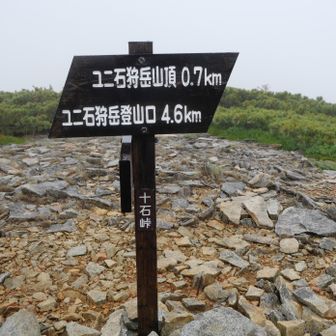 十石峠・・天気が悪いので今回ユニ石狩岳はスルー！