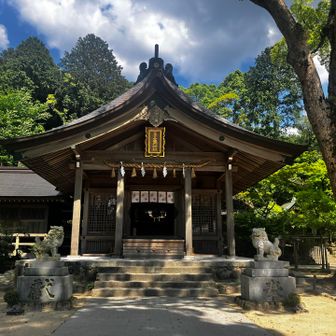 戻ってきました