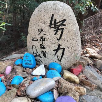 王貞治さんの献石⚾️