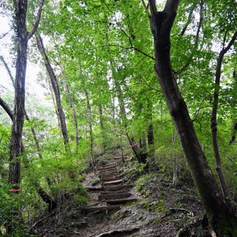 金勝山への登り