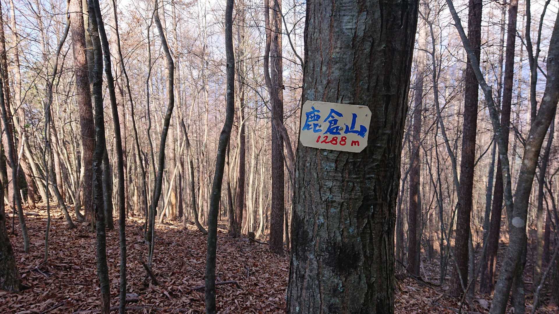 鹿倉山到着
この山、小菅から見たらめっちゃカッコ良かったけど、山頂からの眺望はない