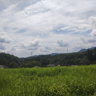 この暑さでなければ、ここでランチ休憩というのもいいのだがな。