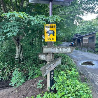 熊怖い(;_;)
🛎️鳴らしてるけど