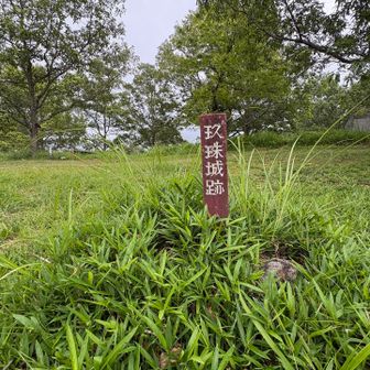 えっ！お城があったん！知らなかった！
