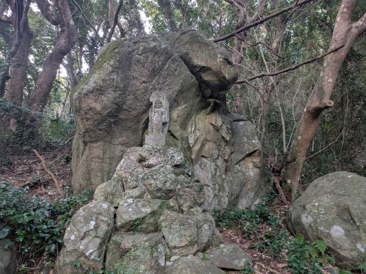 大島山 周回コースの写真